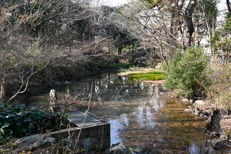駒場野公園