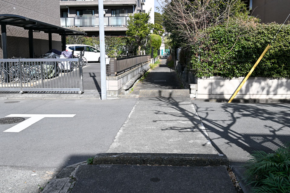橋