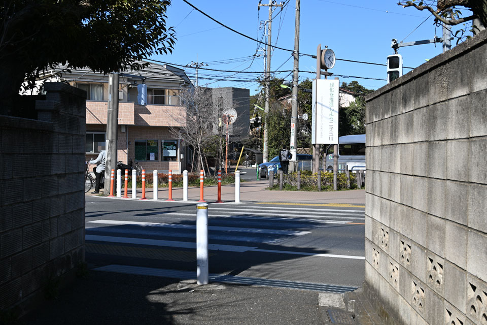 大蔵通り
