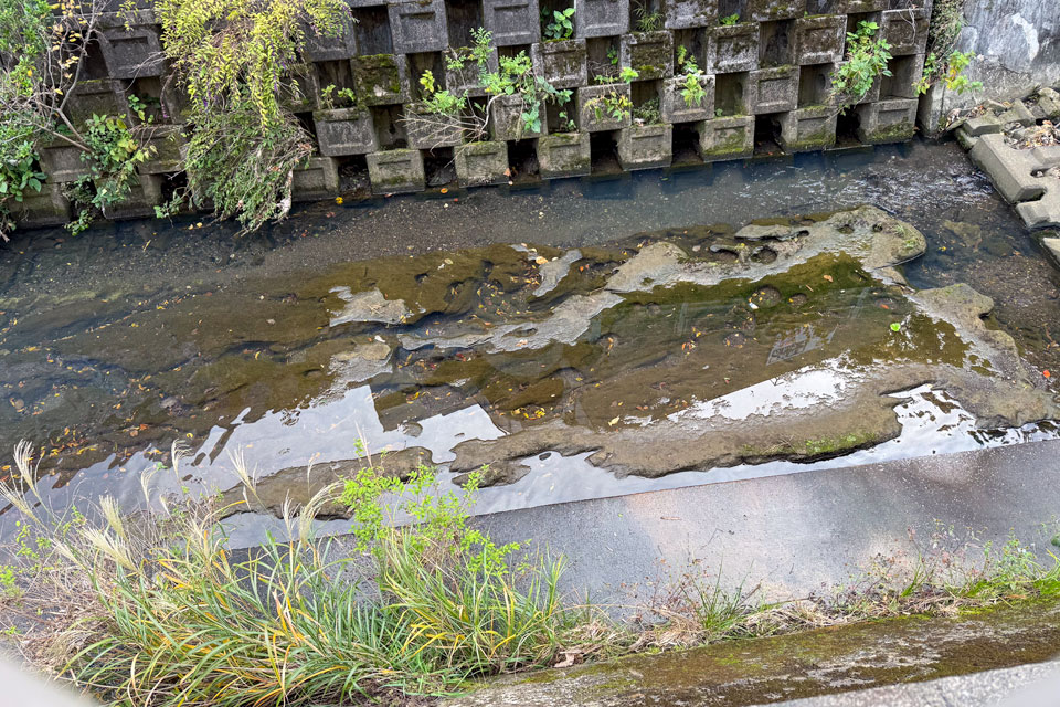 五反田川の甌穴群