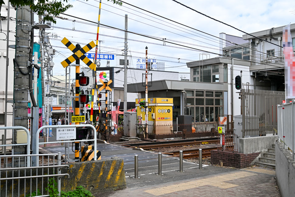 ツル1