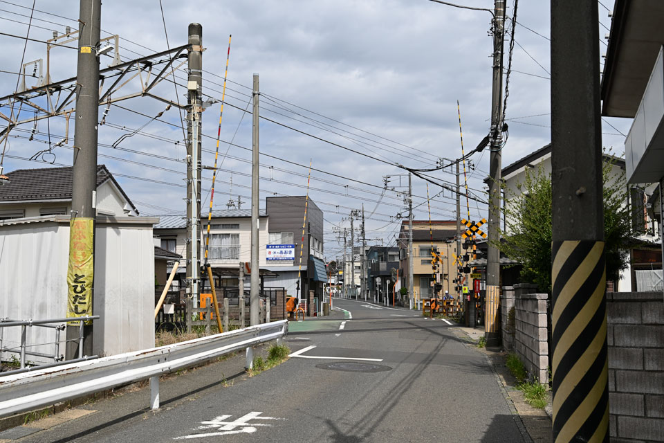 ツル5