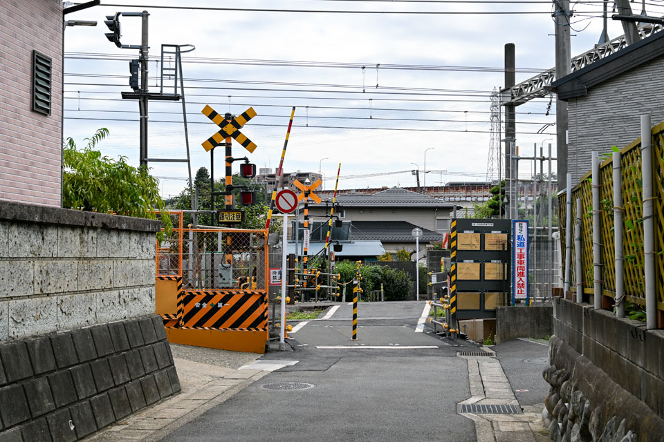 ツル8