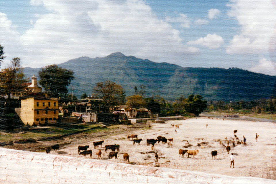 Bishnumati