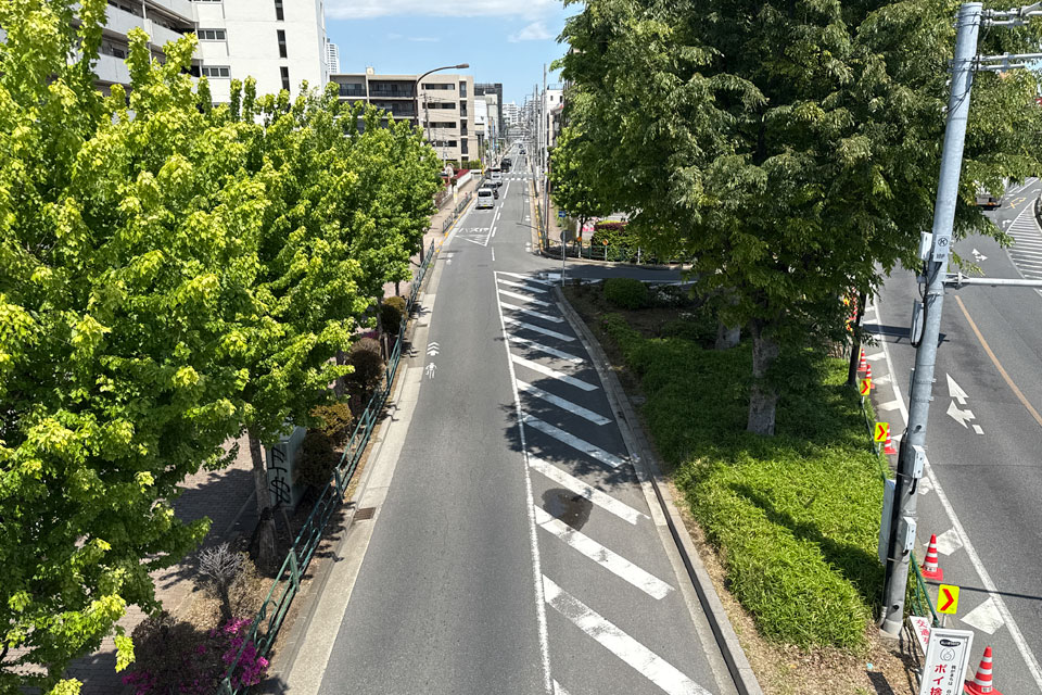 豊玉南歩道橋から