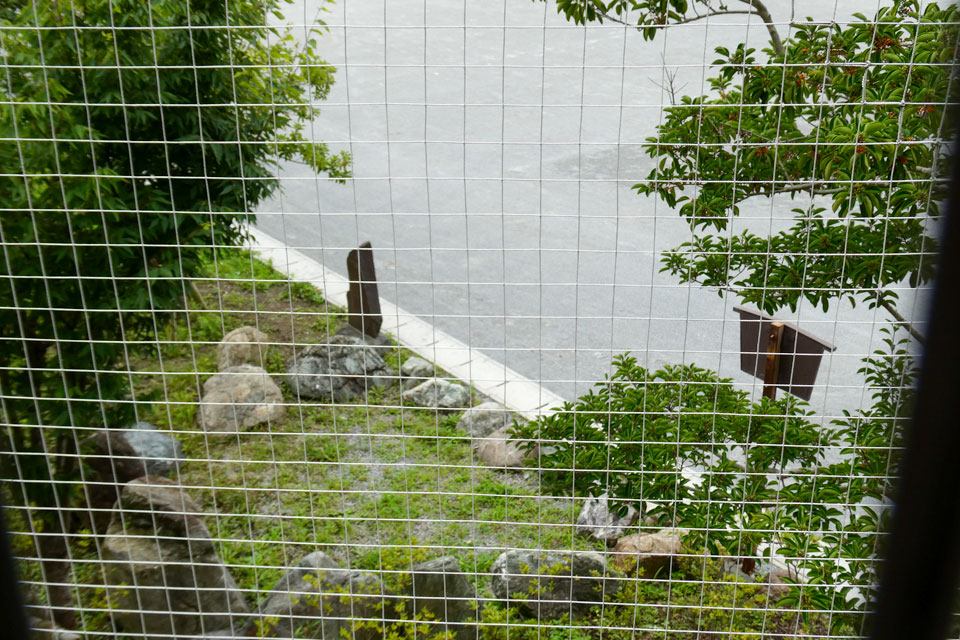 希望の泉?