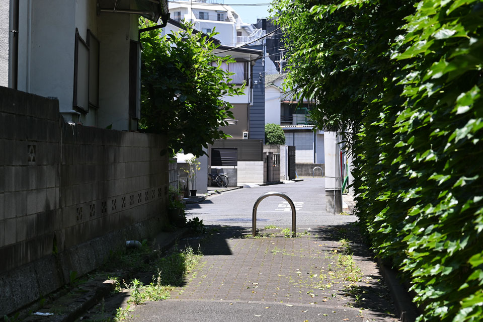 道路を挟んで