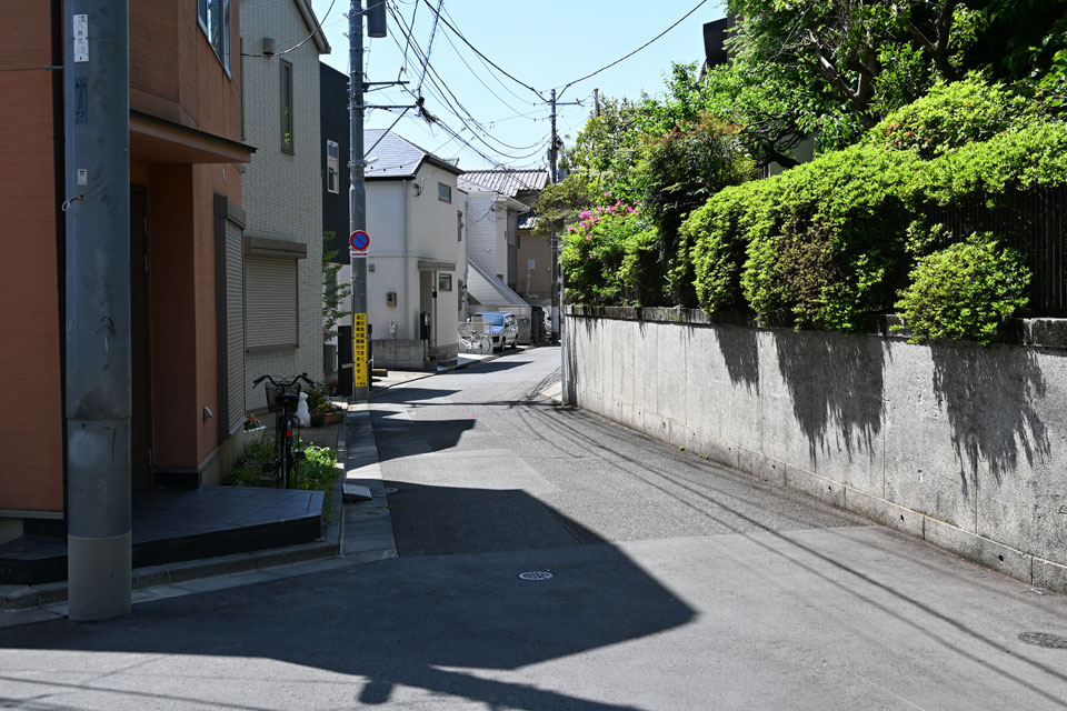 向田橋西