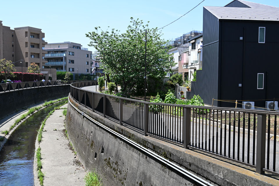 向田橋南