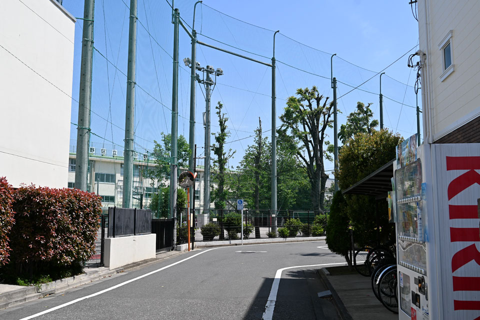 南中野中
