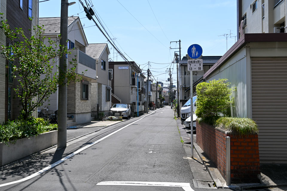 南へ