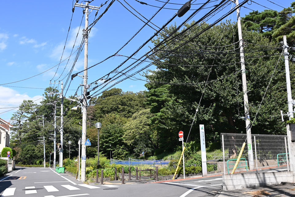 柏の宮公園