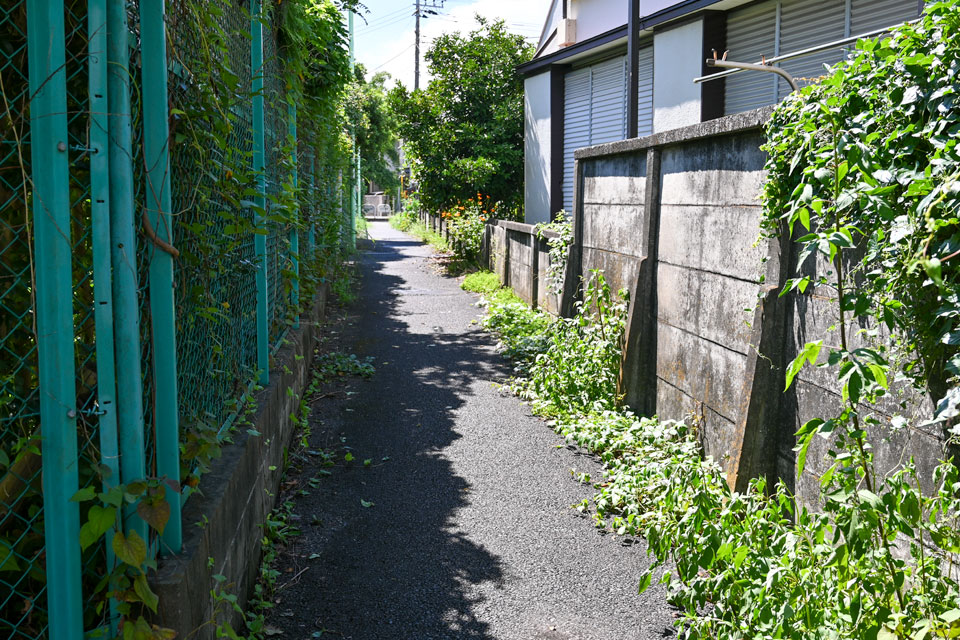 道路へ