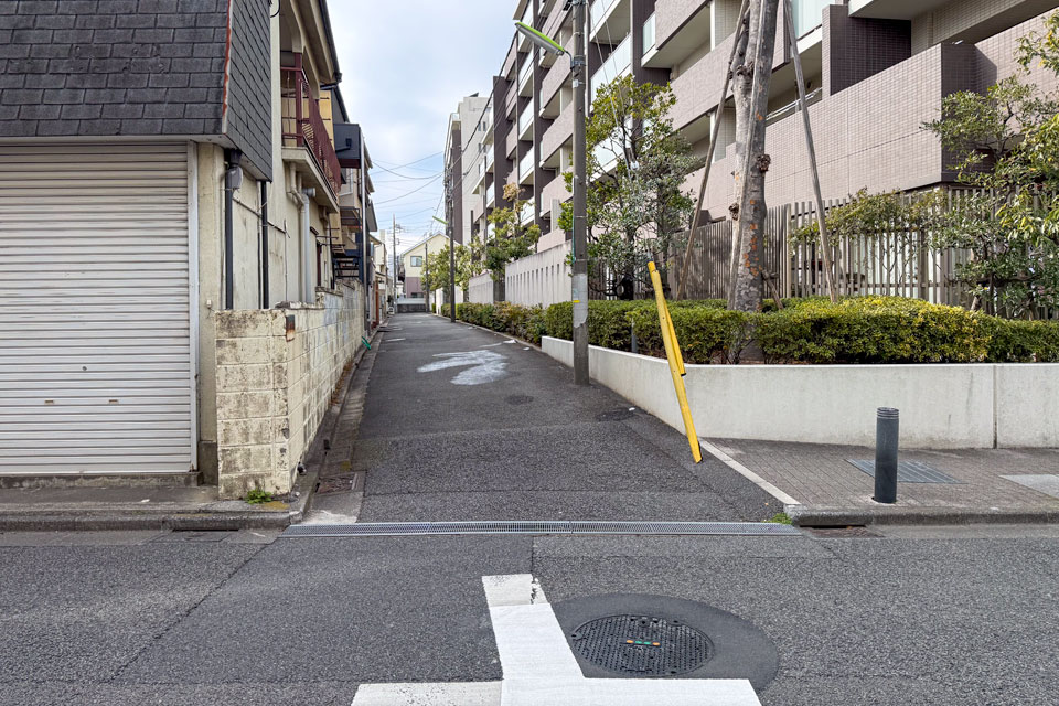 谷戸川からの水路