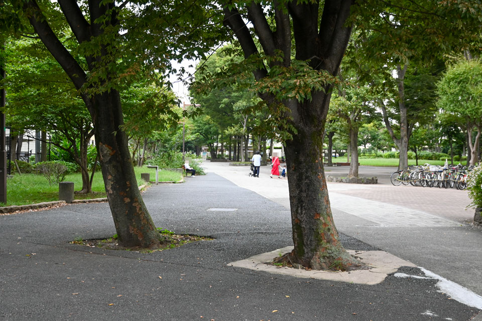 希望ヶ丘団地公園