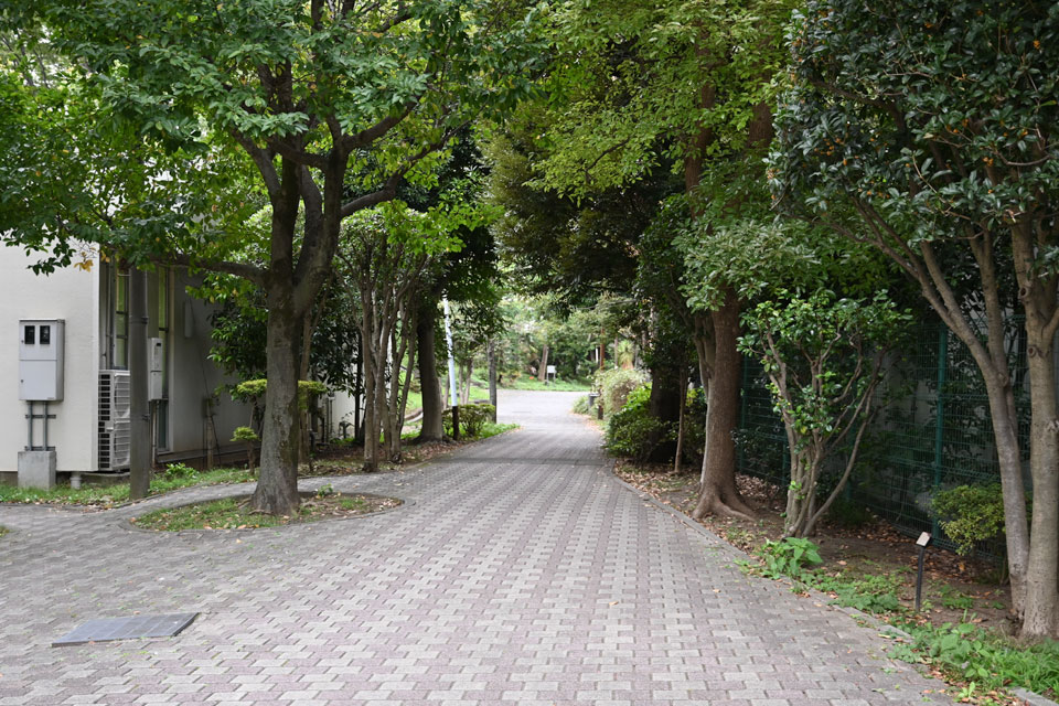 遊歩道
