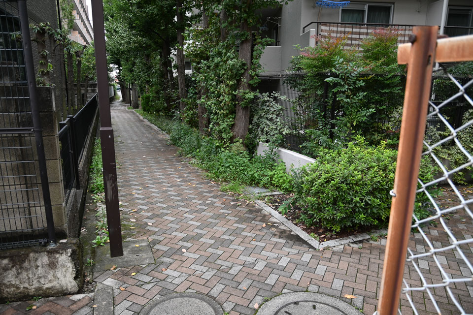 北へ