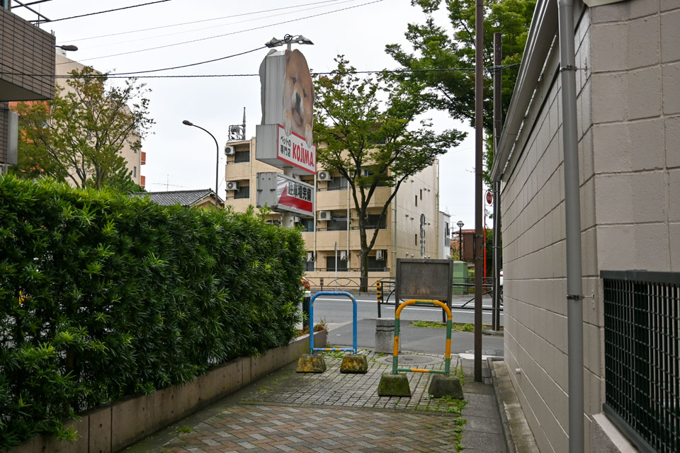 甲州街道