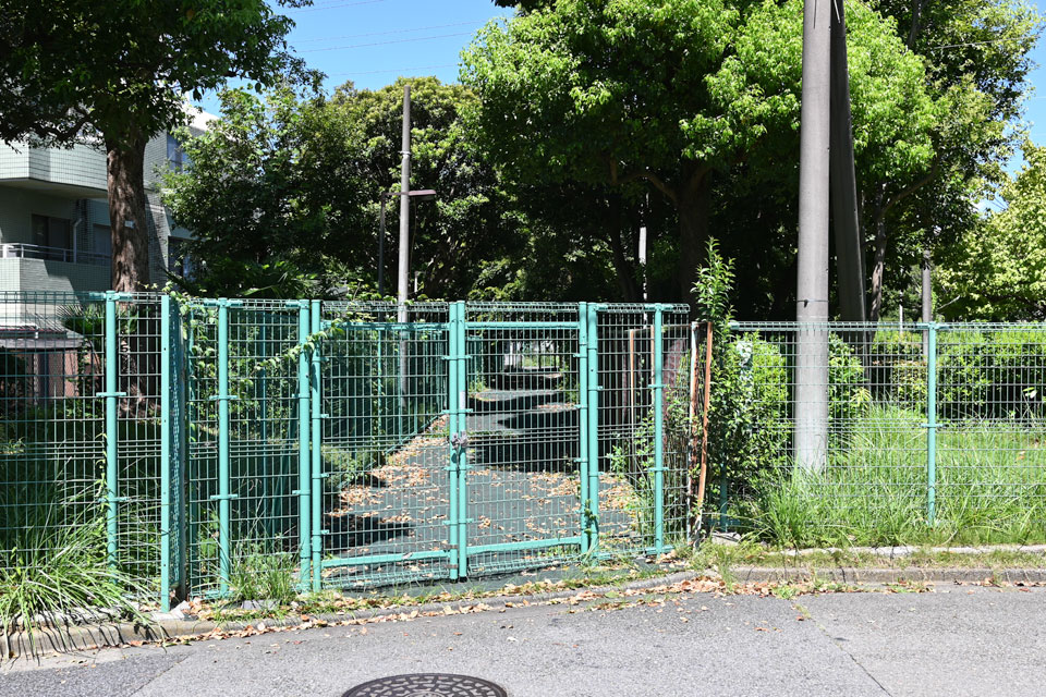 木の公園