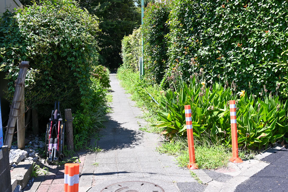 遊歩道