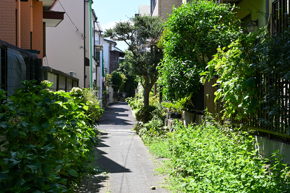 道路