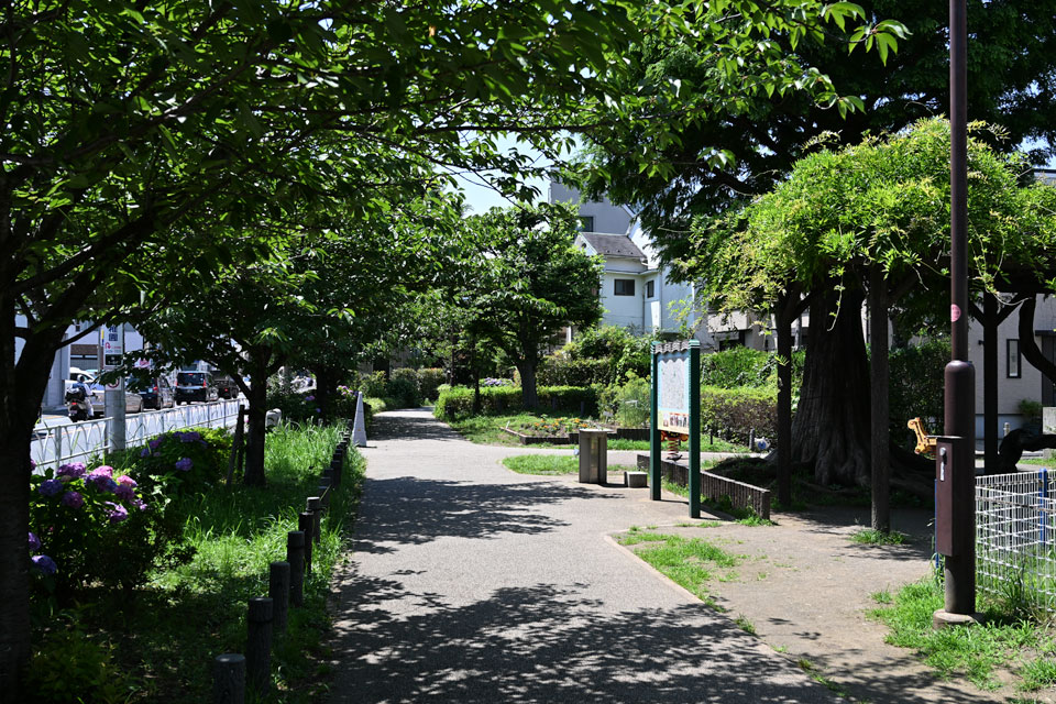 経堂大橋公園