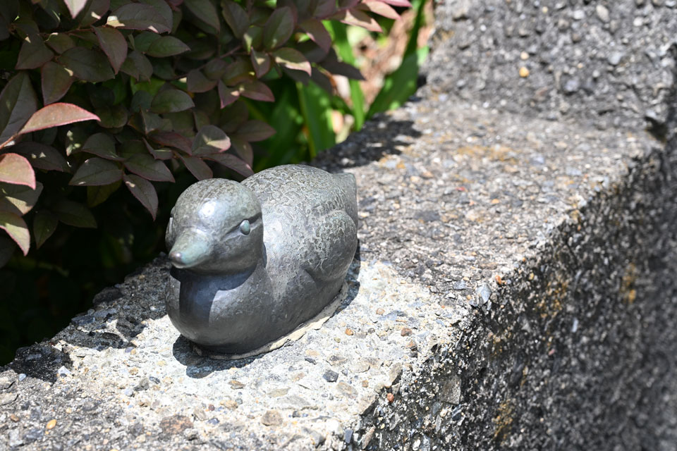 カモ