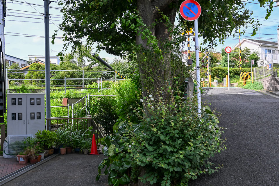 下北沢2号踏切