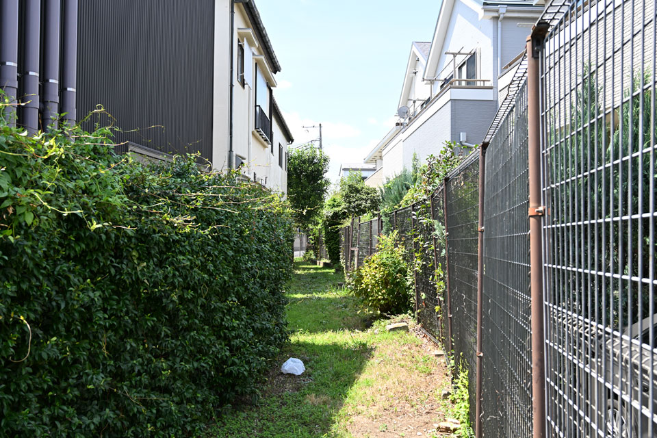 フェンスの向こう