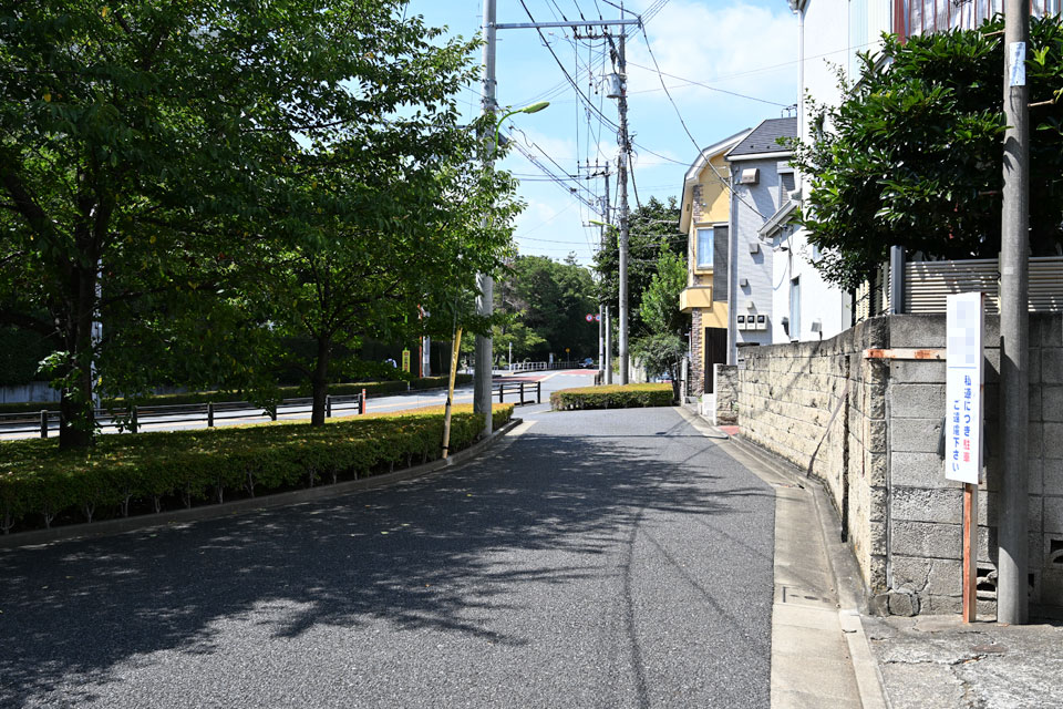 上北沢公園通り