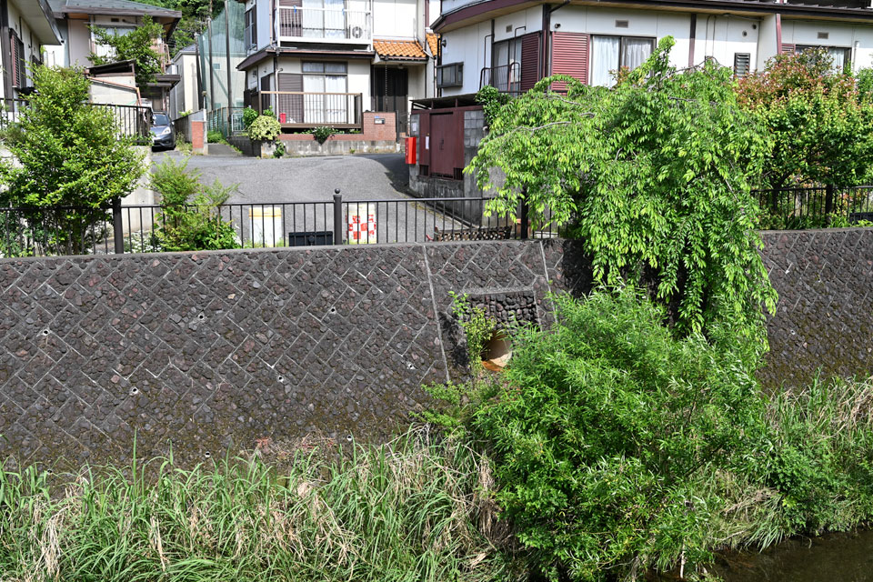 排水口