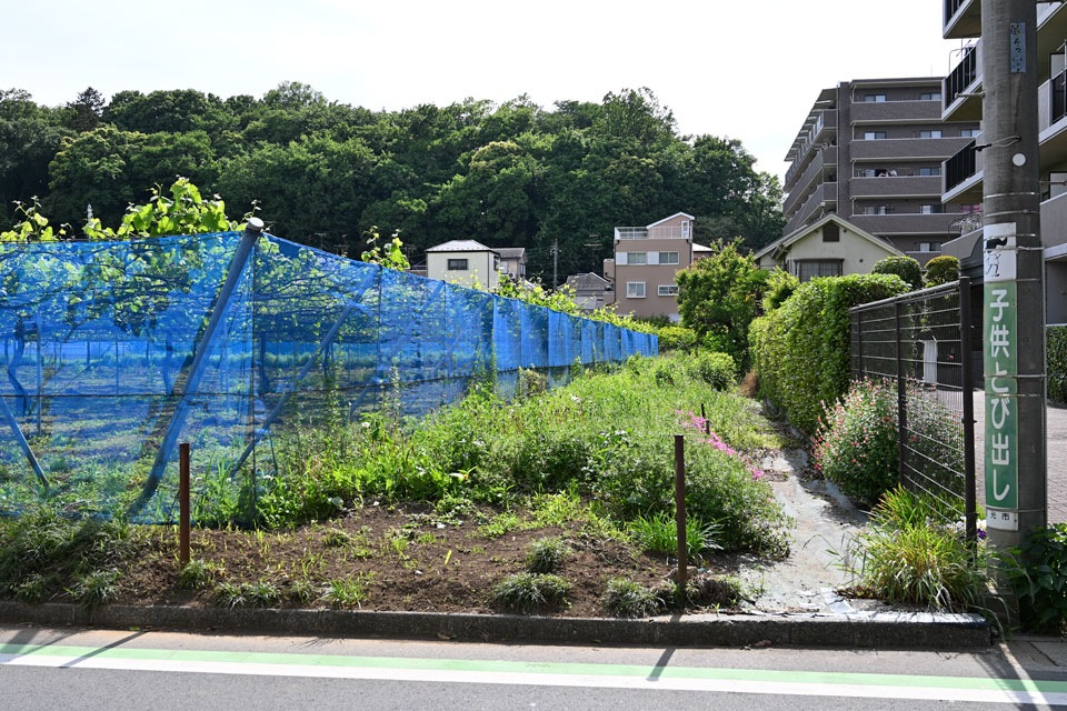 マンション脇
