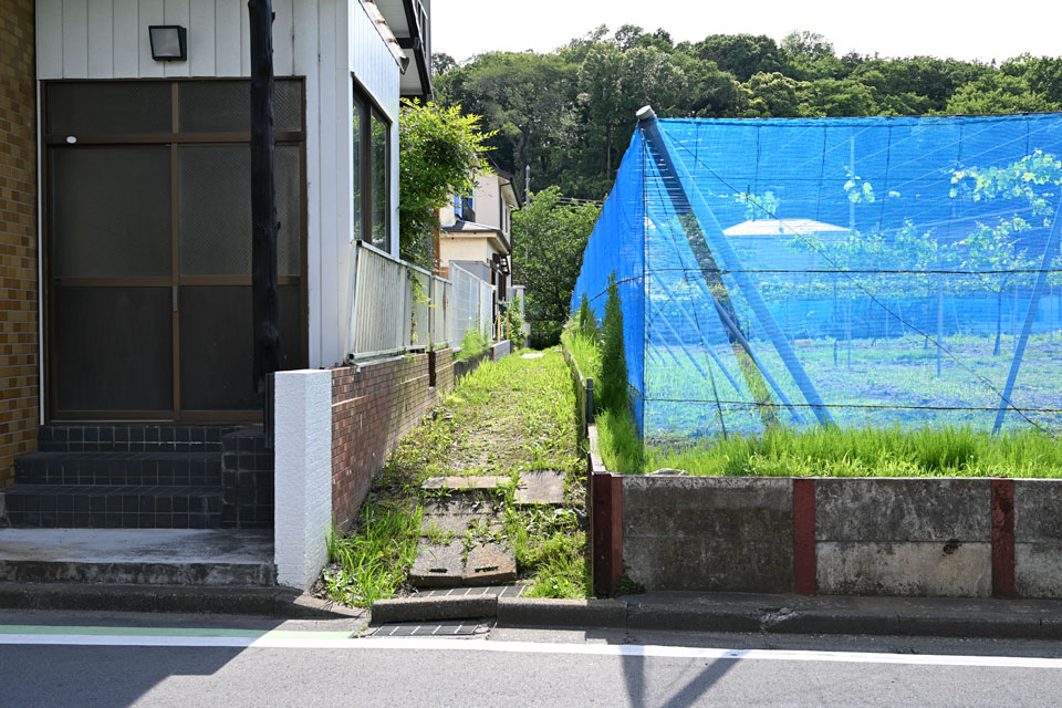 農地脇
