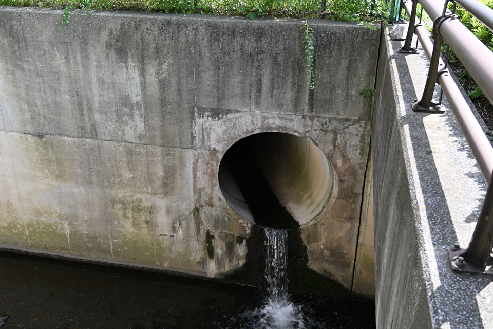 排水口(大)