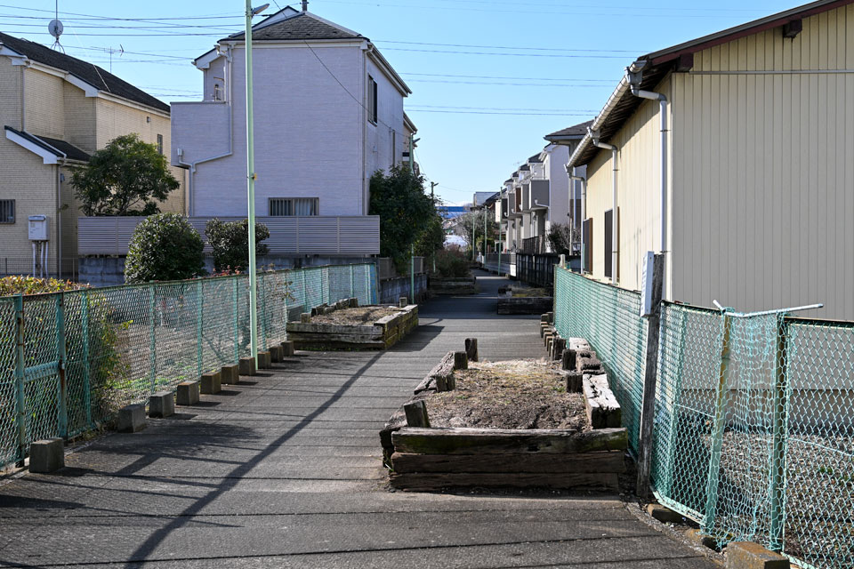 植え込み