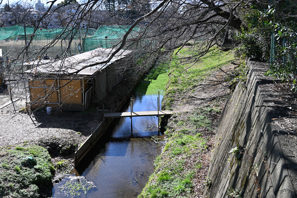 水路と橋