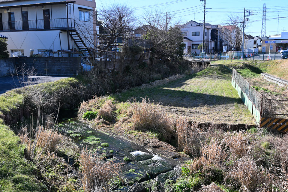 都橋