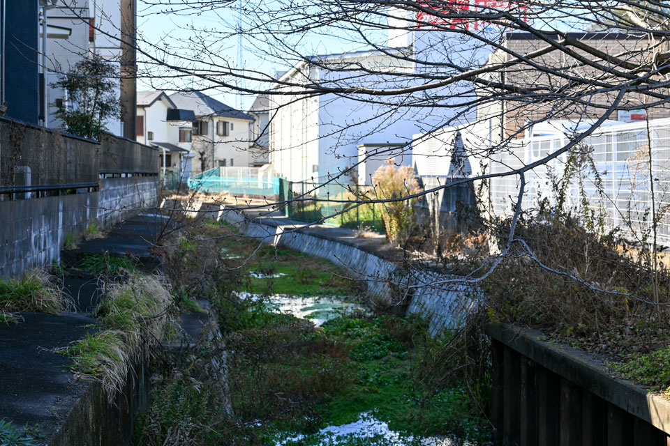 都橋