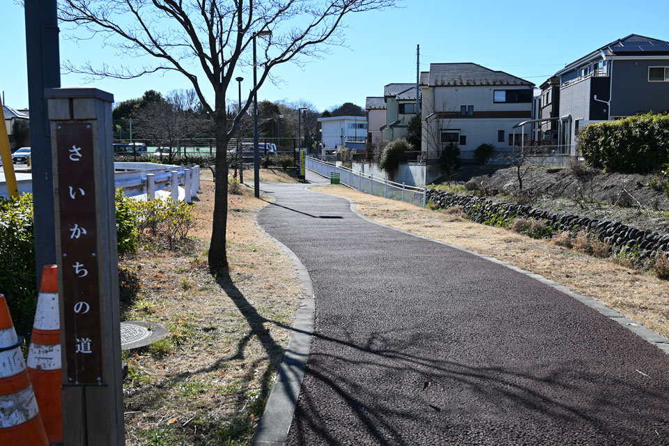 さいかちの道