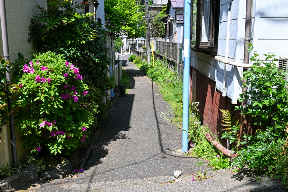 細道