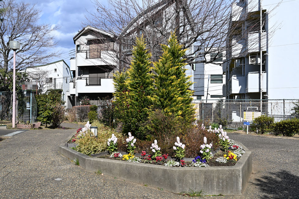 植え込み