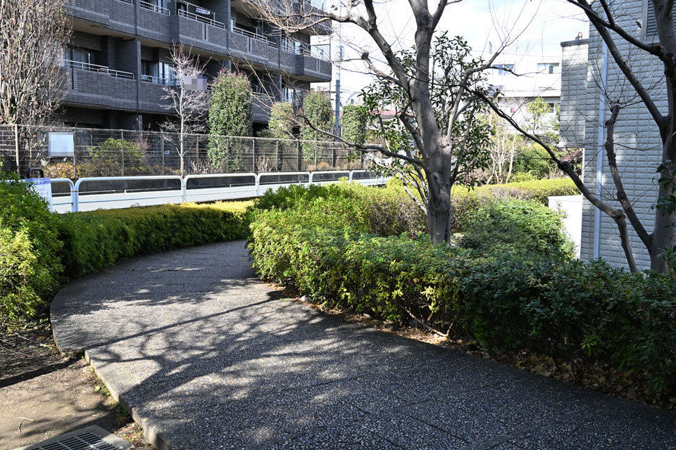道路