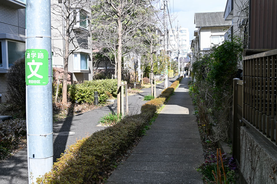 道路脇