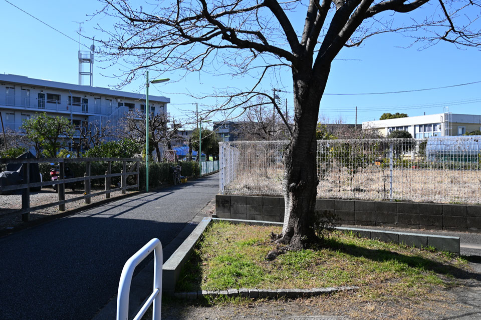 北から合流