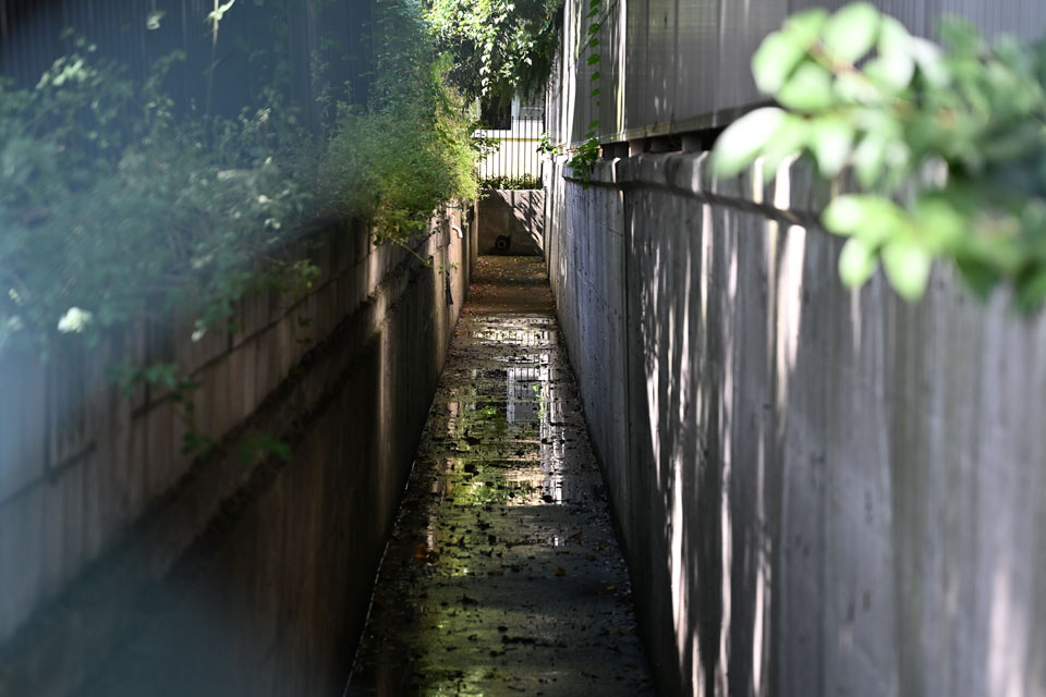水