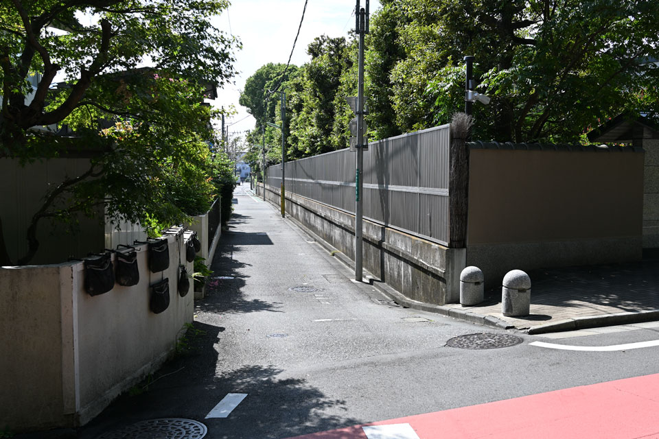 丸子川から