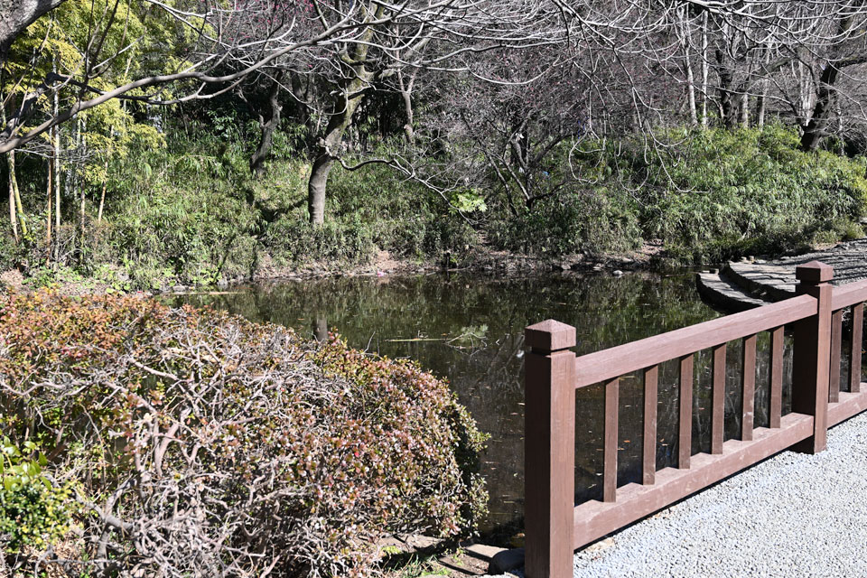 岡本公園