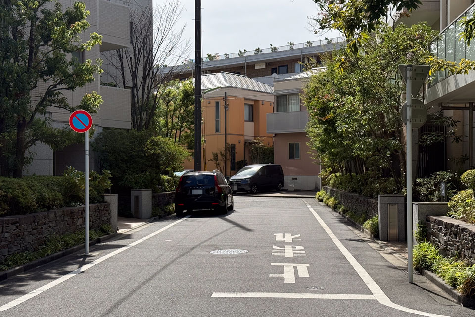 堂ヶ谷戸橋東