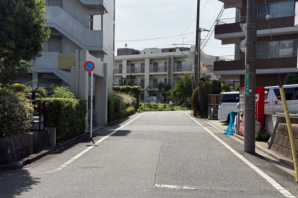 堂ヶ谷戸橋西