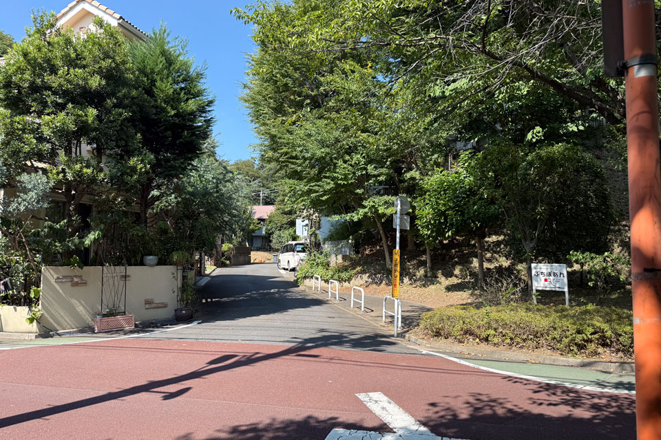 蟹沢の谷